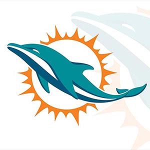 Miami Dolphins Drinking Game