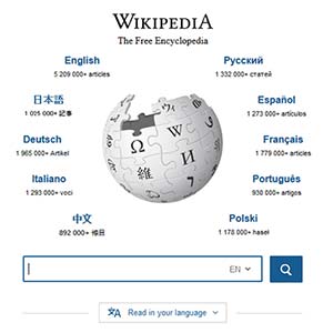 Wikipedia Drinking Game
