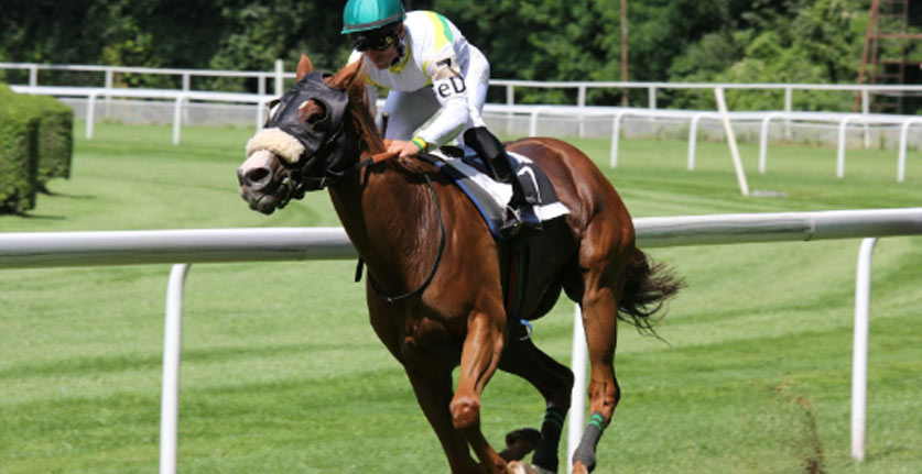 How Horse Racing Traditions Evolved in the Era of Racebook Betting