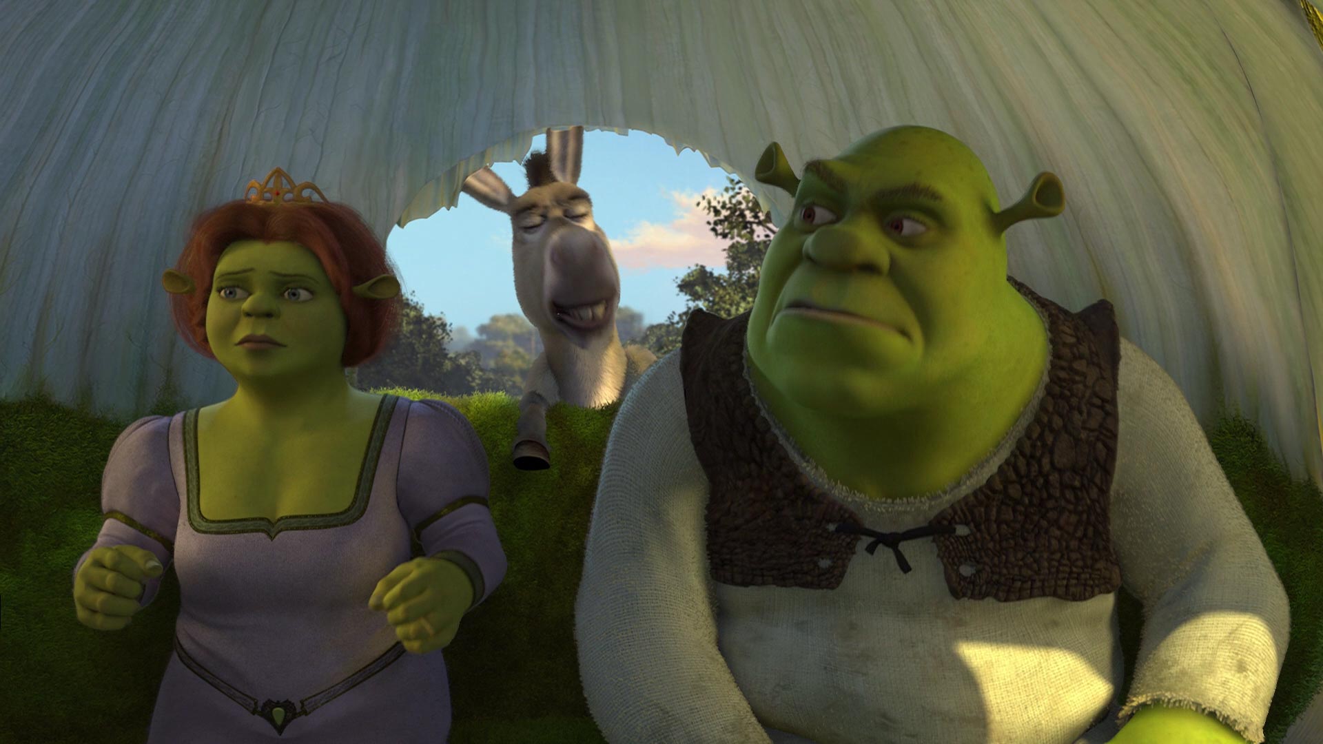 Shrek 2 (2014). Shrek (2). Shrek, Shrek memes, Fiona shrek, HD phone  wallpaper