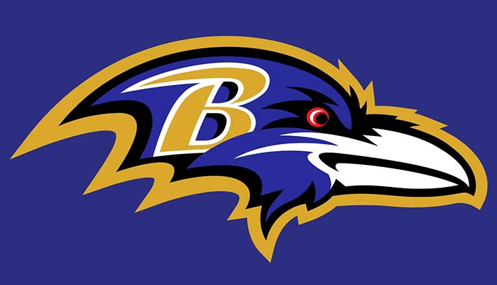 Bad Birds of Baltimore  Baltimore ravens football, Ravens football,  Baltimore