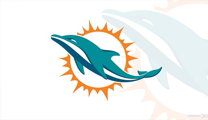 Miami Dolphins Drinking Game